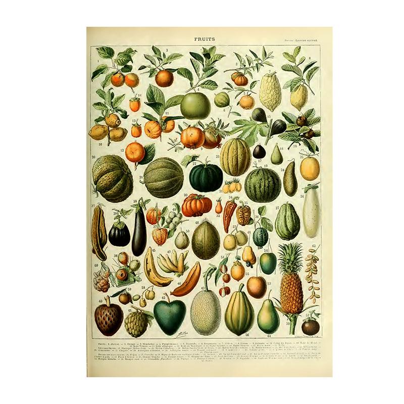 Винтажная ведьма Фрукты Овощи Холст Картина Ретро Цветы Грибы Печать Настенный декор Плакат Для кухни Домашний декор Без рамки