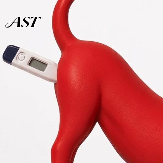 Temperature Gauge Mount 3D Printed Veterinary Thermometer Holder, Cat Dog Digital Clinic Ornament Stand, Electronic Pet Holder for Desk Decoration
