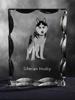 Siberian Husky, Chukcha - crystal with a picture of a dog, glass statuette with a picture, unique frame with a picture from Art-Dog brand