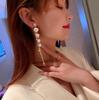 Pearl  Long Tassel Dangle Earrings for Women  Creative Design Temperament Personality Jewelry Girl Gift Brincos