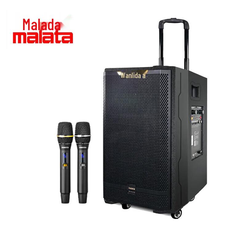 Malata Portable High-Power Karaoke Trolley Speaker CN plug (adapter included) (CN version)