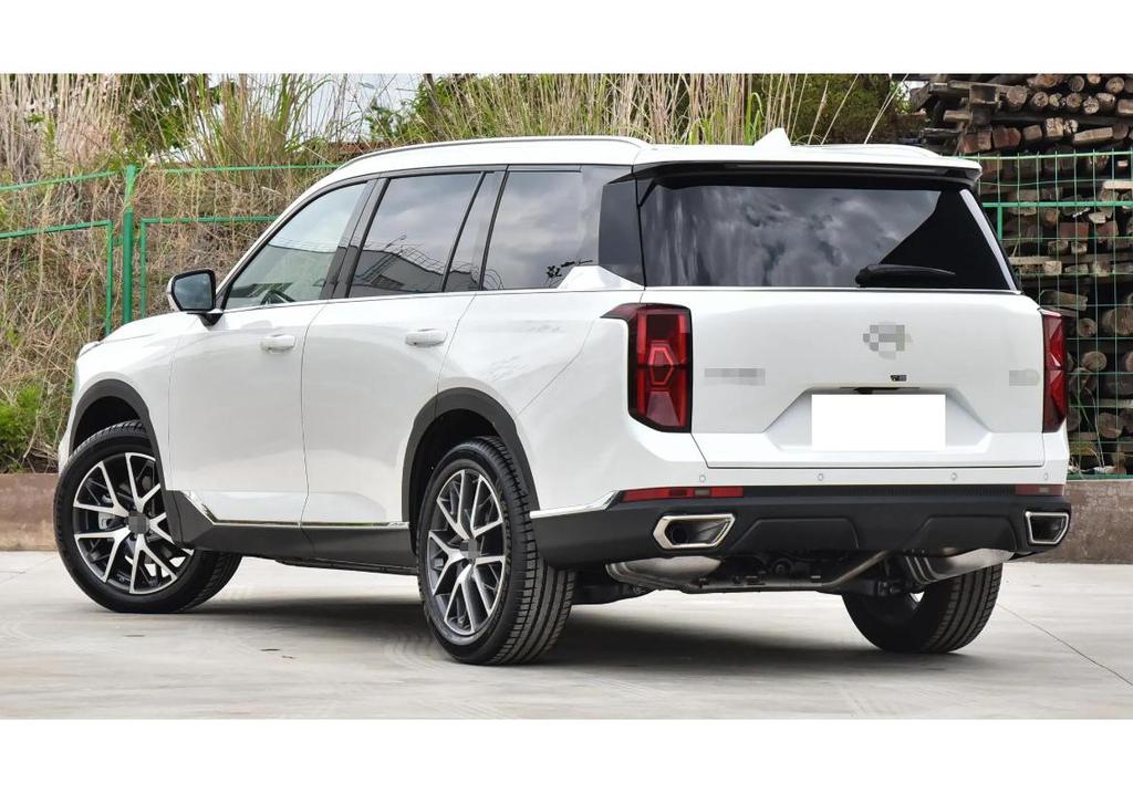 2022 Trumpchi GS8 Мягкие резиновые брызговики