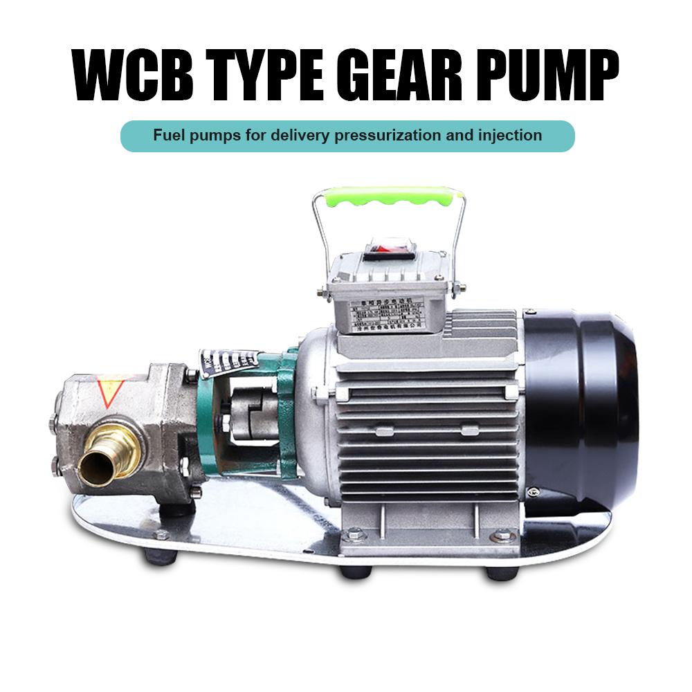 Электрические шестеренные водяные насосы Насосы из нержавеющей стали Портативные самовсасывающие всасывающие насосы Мини-дизельные насосы