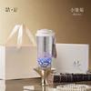Pure Titanium Vacuum Insulated Travel Mug With Straw Lid Tea Infuser Modern Minimalist Office Commuter Gift Cup 480ml