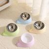 Stainless Steel Pet Cat Feeder Bowl Snail Shap Anti-leakage Cat Water Feeder Anti-spill Non-slip Food Water Bowls For Dogs Cats
