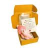 Mini Plush Teddy Bear Box Emotional Support Teddy with Message Card Pocket-Sized Hug Bear Doll for Graduation Anxiety Relief Friends