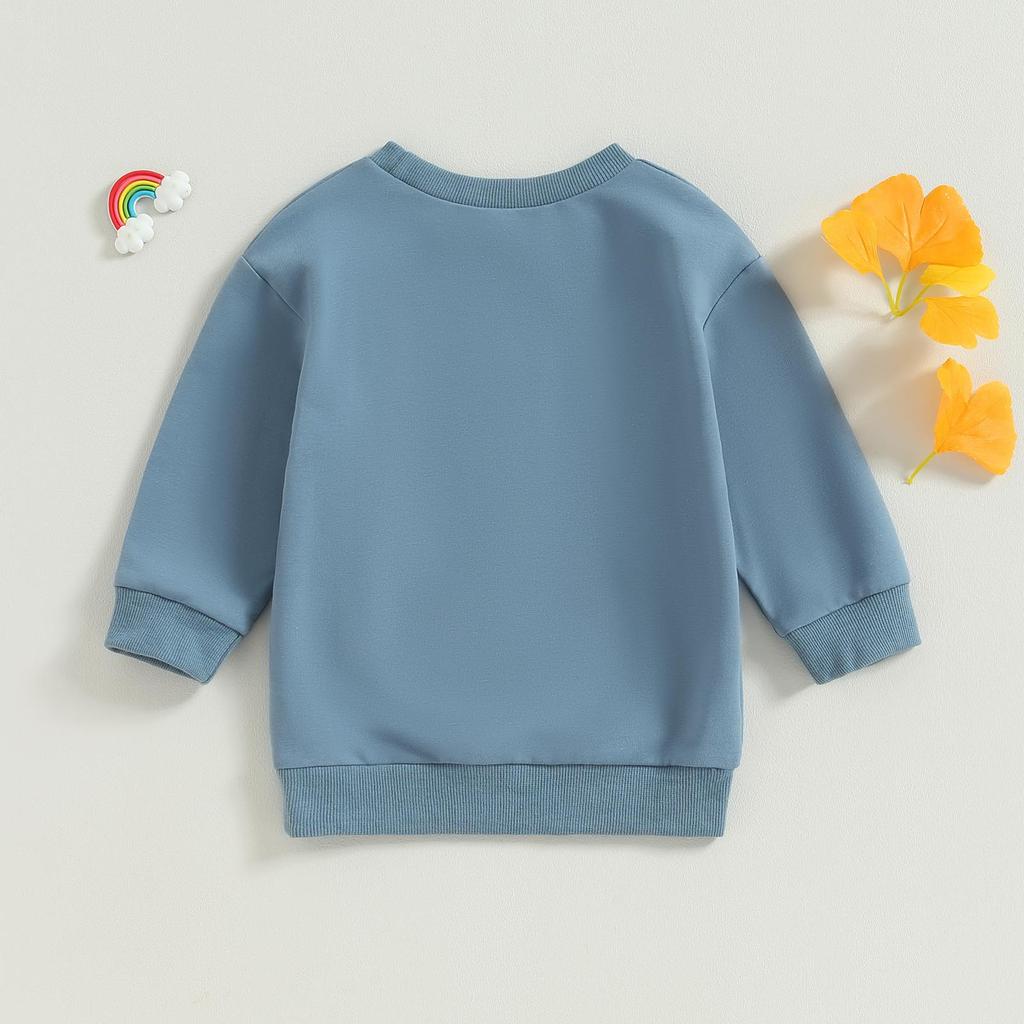 Baby Boy Sweatshirt 1Y 2Y 3Y 4Y 5Y 6Y Letter Print Long Sleeve Pullovers Autumn Tops for Toddler Cute Fall Clothes