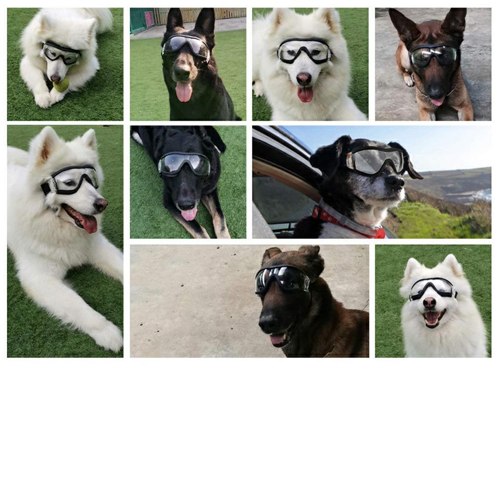 TRIROCK Очки для собак для питомцев среднего и крупного размера, солнцезащитные очки с УФ-защитой, для собак, (чистый)