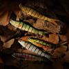 Fishing Lures for Bass Trout Multi Jointed Swimbait Slow Sinking Bionic Swimming Lures Bass Freshwater Saltwater Bass Lifelike