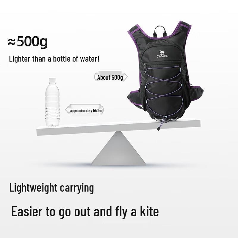 Camel Легкий туристический рюкзак Bee Bag Pro