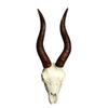 Home Decors Cow Skull Head Wall Art Decors Long Horn Bulls Head Wall Sculpture Decorative Animal Craft for Farmhouses
