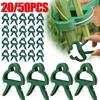 20/50pcs Plant Fixed Clips Reusable Garden Greenhouse Bracket for Fixed Plants Vine Flower Seedling Tomatoes Support Garden Tool