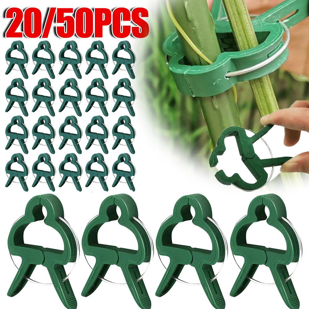 20/50pcs Plant Fixed Clips Reusable Garden Greenhouse Bracket for Fixed Plants Vine Flower Seedling Tomatoes Support Garden Tool