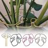 Garden Tools Plant Support Ring Stem Organizer Plant Stem Support Holder  for Flower Lovers