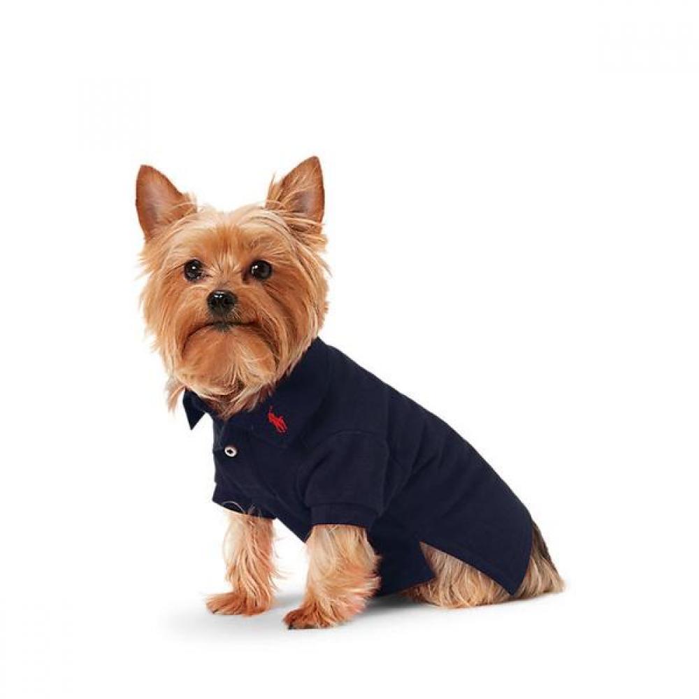Ralph Lauren Cotton Mesh Dog Polo Shirt Hmpogfthr920012410