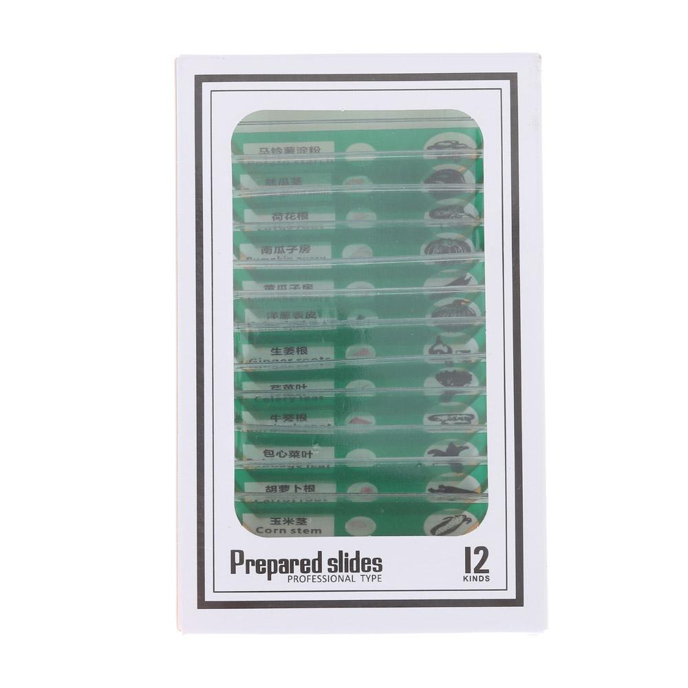 Пластиковые предметные стекла для микроскопа Образцы Животные Насекомые Растения Цветы Образцы для микроскопа Готовые препараты Разноцветные