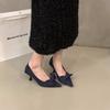 Niche French Black High Heels Women's Shoes 2025 New Spring and Autumn Temperament Suede Bow Pointed Single Shoes