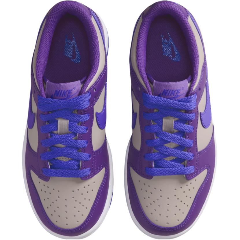 Nike Dunk Low GS Wild Grape Детские кроссовки Фиолетовый Колледж-Серый Белый FB9109-007