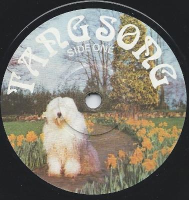 7-дюймовая пластинка SPIX' N SPAX - Follow The Leader TS102 Tang Song 1975 UK Соул/Фанк Б/У