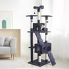 BILLY Arbre à chat gris foncé 50 x 50 x 170 cm - 5 plateformes, 2 escaliers, 2 niches, porteaux à griffer