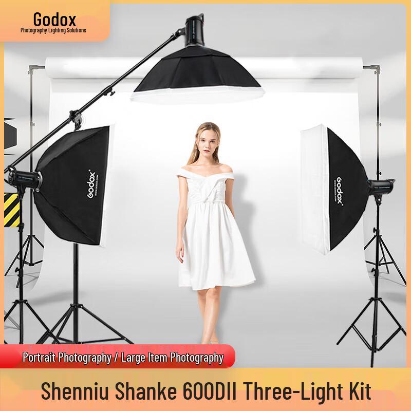 Godox DII 600W Studio Strobe Flash Kit