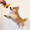 Soft Butterfly Dog Toy Pet Shape with Sound-Producing Plush Bite-Resistant Massages Gums Cleans Tartar Gum Massaging