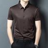 Мужская рубашка с коротким рукавом и отложным воротником из ледяного шелка - Business Casual, Не мнется, Эластичный крой для мужчин среднего возраста