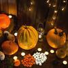 Simulated Pumpkin Model Ornament Set 48pcs(24 White+24 Yellow)