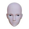 1/6 Scale BJD Doll Head Sculpt Natural Skin Parts Supplies for 12 Inch Body Unpainted