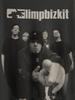 Футболка группы Limp Bizkit Унисекс Графическая футболка в стиле Nu Metal Для унисекса Унисекс Тур 2026