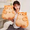 Fat Cat Throw Pillow Plush Toy Doll Home Sofa Pillow Cushion Girl Soothing Doll