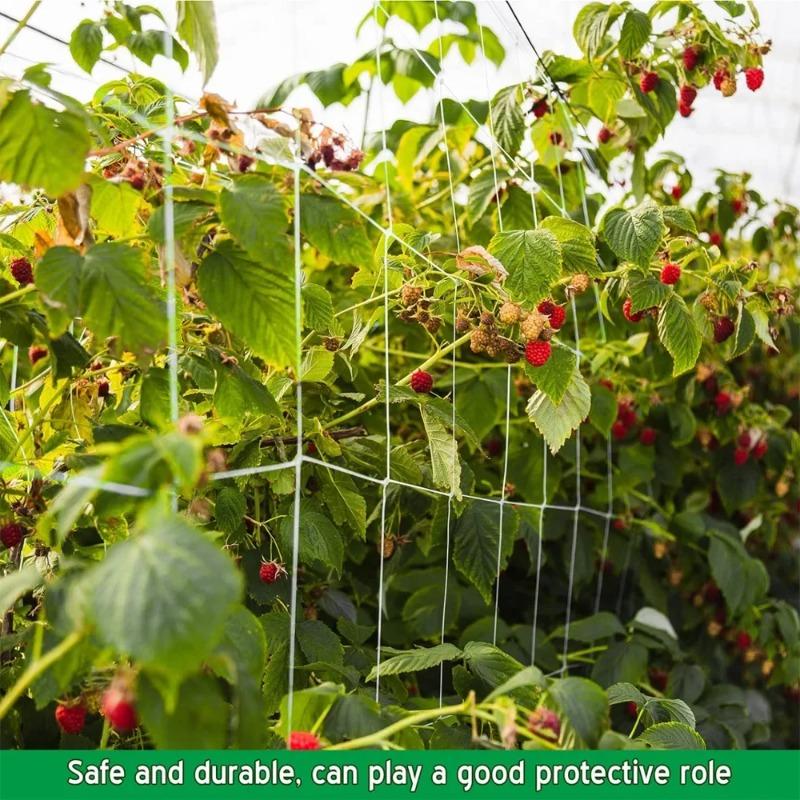 Садовая сетка-шпалера с квадратной ячейкой, полиэстер, сетка для поддержки вьющихся растений, для использования на открытом воздухе, для овощей, фруктов, лоз, палатки для выращивания, держатель для растений