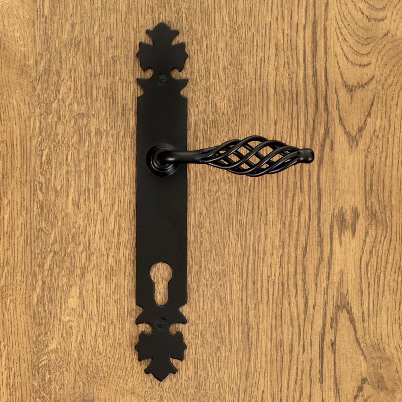 LAGOS door handle with plate for 90mm insert, BLACK