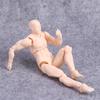 Man and Woman Human Postures Action Toy Action Figure Human Mannequin Drawing Figures Figure Model