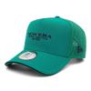 New Era DIAMONDERA Golf Mesh Cap In Northwest Free Size D ERA SW VISOR NER36G1370 9FORTYA-FRAME Green, GF, 940AF, NWGRN, 14391369,