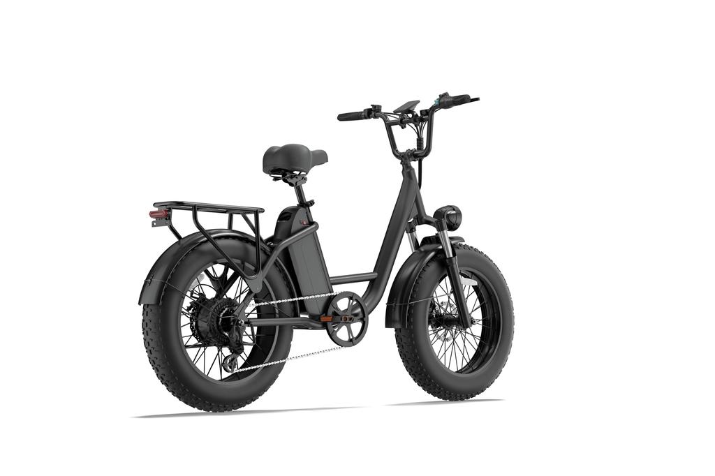 URLIFE-E20 Adult Electric Bike, 48V 350W Rated Motor, 13Ah Removable Battery, 20 Inch Tire Ebike for Daily Commuting & Urban Travel