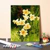 Цифровая картина маслом DIY Картина по номерам Украшение дома Холст Номера Картина маслом Искусство