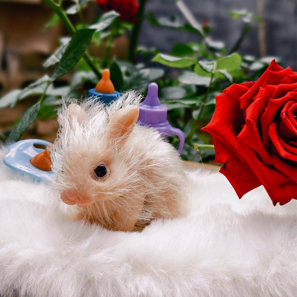 Simulation Mini Silicone Rabbit Baby Dolls Toy Soft Lifelike Cute Mini Reborn Rabbit Newborn Animal Doll Toy Gift For Kids