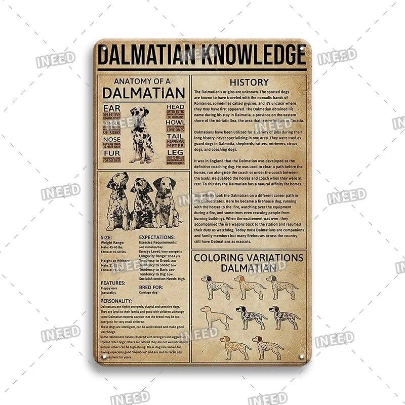 Оловянный знак Знание стоматолога Колли винтажная доска художественный плакат для стоматологического кабинета фитнес-клуба офиса ванная комната Настенный декор подарок