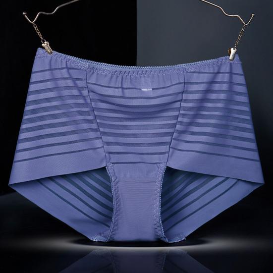 Women Sexy Striped Mesh Sheer Panties High Waist Seamless Underwear