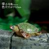 Смола Черепаха Открытый Садовый Пруд Аквариум Бонсай Декоративная Черепаха Животное Скульптура Для Дома Сада Декор Орнамент