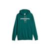 Puma Худи Team с буквенным принтом, толстовка с длинным рукавом, мужские худи, зеленый 621322-43
