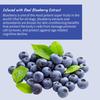 Professional Dog Whitening Shampoo Blueberry Brightening Formula Enhances Fur Shine Softness Pet Grooming Care