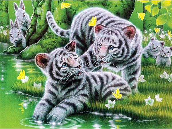 DIY 5d алмазная живопись кошка полная квадратная/круглая дрель Алмазная вышивка крестиком животное мозаика картина домашний декор
