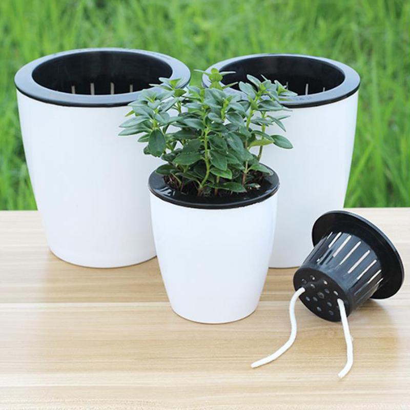 Automatic Water-Absorbing Succulent Flower Pot Hydroponic Basin Fleshy Flowerpot