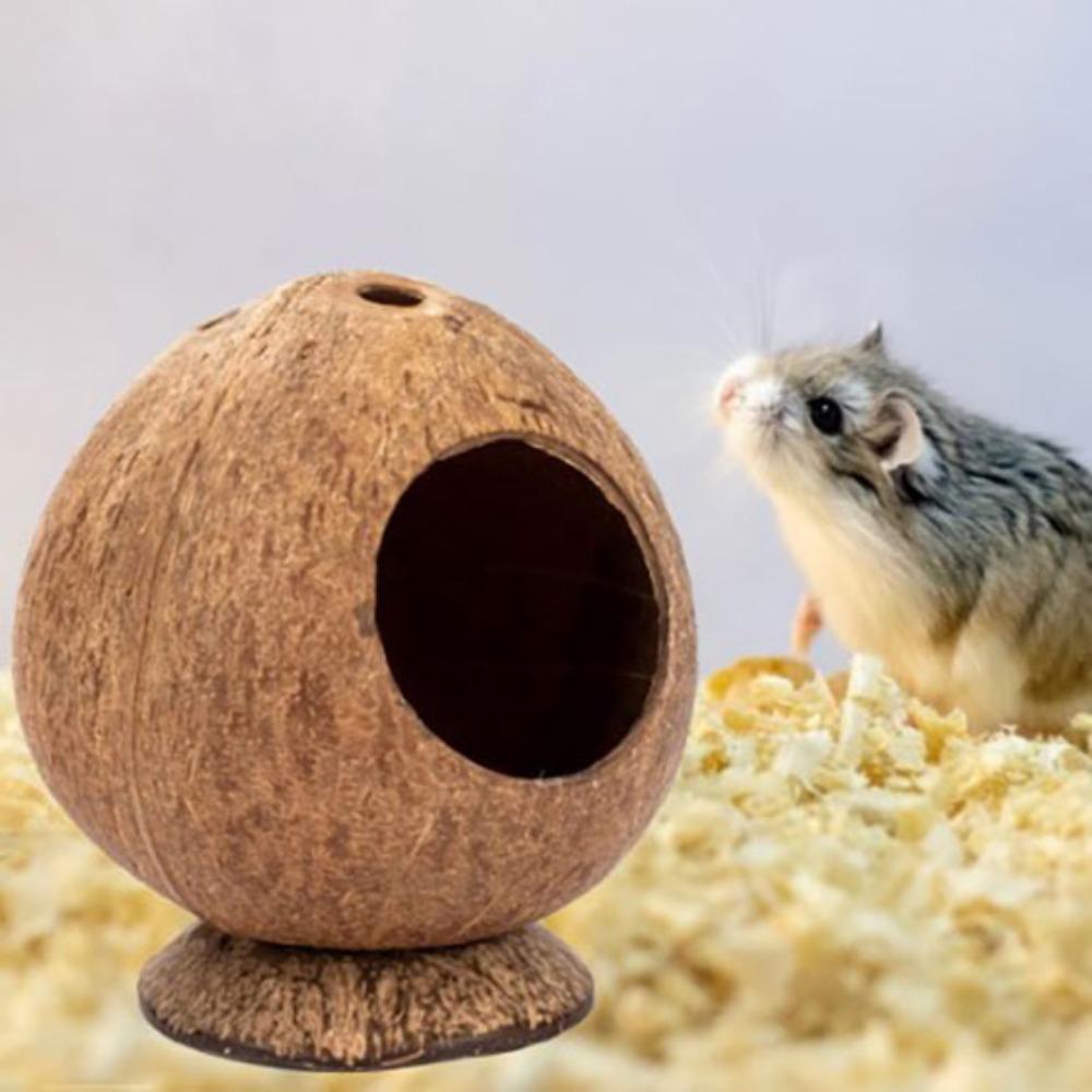 Bite Resistance Bite-resistant Natural Coconut Shell Coconut Guinea-pig Hamster Hideout House