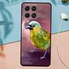 Прекрасные птицы Колибри Для Samsung Galaxy M21 M31 M11 M13 M33 M53 M16 M06 M12 M14 M15 M35 M55 M34 M54 M32 M52 Чехол