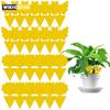 10pcs/set of Yellow Insect Traps Garden Flower Traps To Eliminate Pests Small Flying Insects Small Black Flying In