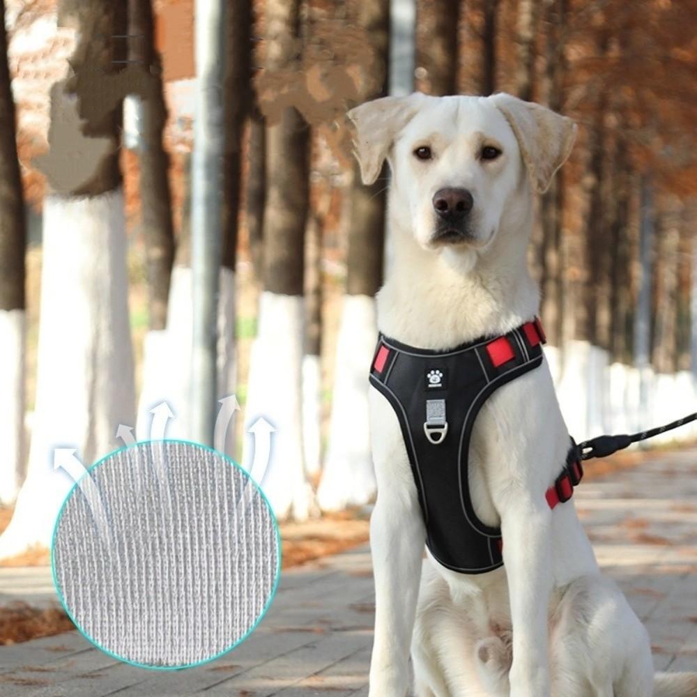 Multi-Point Adjustment Anti-Pull Dog Harness Reflective Dog Leash Dog Chest Strap Daily Walks