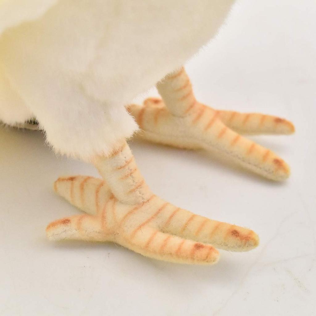 BH6457 HANSA Корелла 21